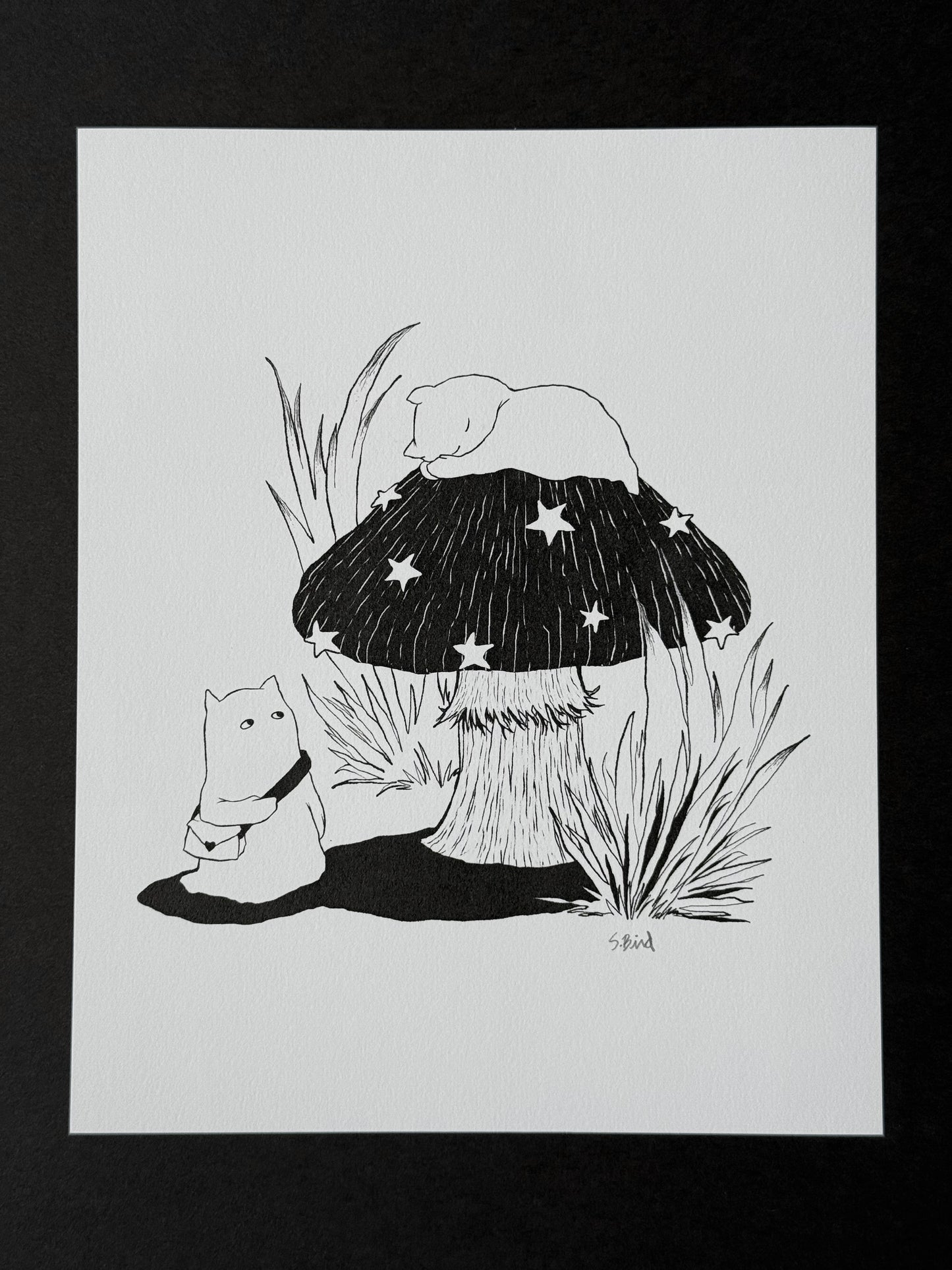 Signed Print